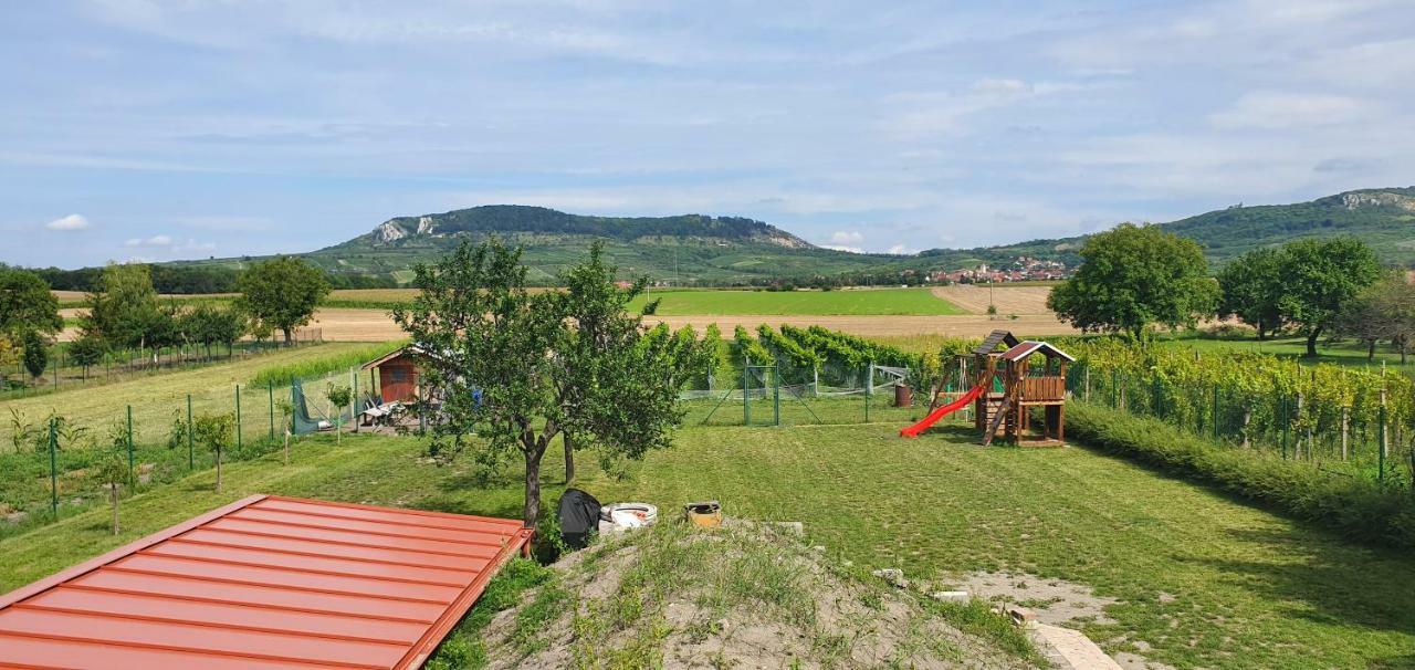 Penzion Dolní Dunajovice Εξωτερικό φωτογραφία